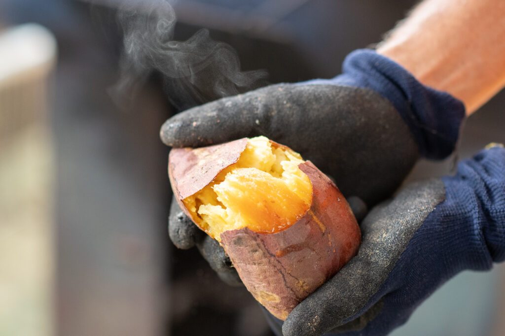 割った熟成焼き芋から湯気が立ち、蜜色の中身がのぞく